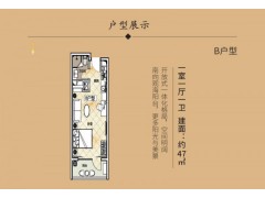 东戴河 海天印象 精装修 送全套家具家电 均价7000元