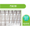 厂家热销 电焊铁丝网 镀锌电焊网 抹墙焊接网 欢迎订购
