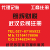 武汉公司注册代理、会计记账服务