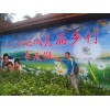深圳农家乐、欢乐农庄休闲一日游、体验美丽田园风光