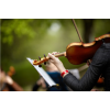 山艺之星——小提琴三度音程的训练
