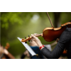 济南小提琴培训——初学者如何学习小提琴