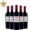 进口红酒招商加盟代理 卡帕雅经典款2009红葡萄酒批发