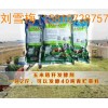 秸秆、豆粕青贮发酵剂/草料专用发酵剂
