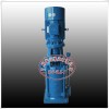 广州水泵厂-丰立直销厂-DL立式多级离心泵