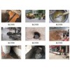 上海南汇区惠南镇专业管道疏通50917081马桶疏通