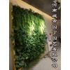 郑州阳台生态墙制作的简介-河南城市园丁园艺有限公司