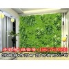 城市园丁河南郑州阳台生态墙制作_绿化行业领先品牌