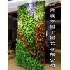 上海郑州阳台生态墙制作|屋顶花园|定制景观|河南城市园丁