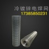 厂家直销贵州冷镀锌电焊网1*38m