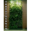 郑州空气净化植物墙有哪些功效——河南城市园丁园艺有限公司