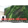郑州空气净化植物墙有哪些功效制作产品;城市园丁生态绿墙