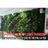 郑州空气净化植物墙有哪些功效制作-河南城市园丁园艺有限公司