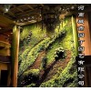 城市园丁郑州空气净化植物墙有哪些功效制作-河南城市园丁