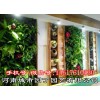 郑州空气净化植物墙有哪些功效制作垂直绿化|屋顶花园|定制景观