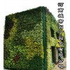 夏季垂直绿化郑州健身房植物墙制作-城市园丁