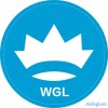 WGL威势环球外汇招商办事处，全国诚招代理