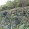 厂家供应批发绿色攀爬网 绿色护山边坡挂网 绿色钢塑土工格栅