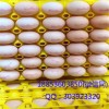 抗紫外线鸡蛋托 30枚鸡蛋托生产厂家 鸡蛋托供应商