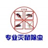 上海灭鼠公司 室内灭鼠 预防老鼠进入室内