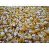汉江养殖合作社求购玉米碎米油糠麸皮次粉淀粉等饲料原料