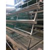 中州鸡笼厂 四层阶梯鸡笼 自动化鸡笼 放心安全养殖品牌