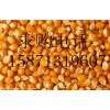 旺川饲料厂求购：大豆、玉米、棉粕