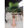 人造保鲜棕榈树 大型商城中央仿真棕榈树 玻璃钢景观树假棕榈树
