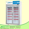 超市冰柜品牌双门低温展示柜广州冷柜品牌厂家价格