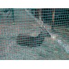 荷兰网  圈鸡网  绿色铁丝网 养殖铁丝网 波浪网