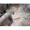 湖州长兴县地下消防管道漏水探测查漏精确测漏施工方案及设施