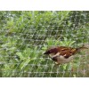 抗老化防鸟网可做爬藤网及养殖网用可定做各种养殖网