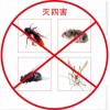 济宁地区上门灭鼠服务专业捕鼠公司抓杀除灭老鼠灭蟑螂灭虫