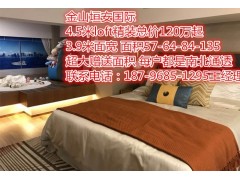 上海金山精装修海景现房公寓垣安国际3.9面宽120万起