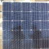 协鑫双玻单晶太阳能组件光伏板出售平价上网首选