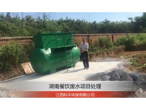 陶勇军中国著名环境工程专家
