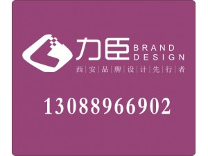 包装设计vi设计全套/西安品牌设计公司网站资深设计公司