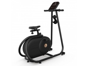 美国乔山家用立式健身车BT5.0电磁控静音健身器材 正品