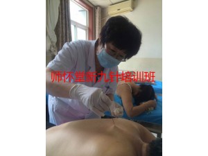 12月19日郑州新九针疗法临床应用技术研修班
