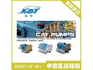 美国CAT3541高压循环三柱塞泵