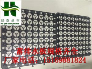 江西/赣州聚乙烯车库排水板(2公分)绿化蓄排水板