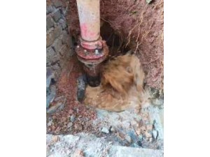 专业消防管网漏水探测、地下管网漏水检测、自来水管网漏水检测