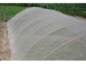 批发农用60目蔬菜防虫网聚乙烯生产质轻耐用拼接网罩
