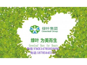 苏州绿叶科技集团贵阳专卖店开业
