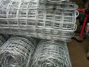 生产铁丝网片电焊网片浸塑护栏网片规格型号齐全边坡绿化防护网