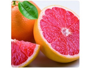 血橙苗种植技术血橙价格