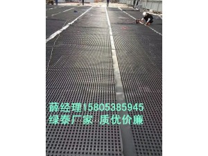 大同1.6公分20高排水板～郑州车库滤水板