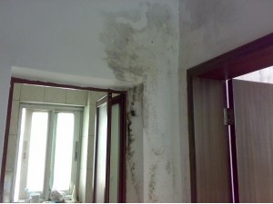 广州专修卫生间墙面楼顶飘窗漏水防水工程