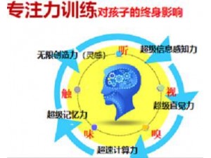 北京智力智商培训专注力培训脑开发培训教学快速阅读快速记忆培训