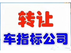 北京的车指标可随时落户变更公户牌